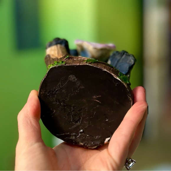 Bear Playing Floral Instrument Whimsical Cottagecore Cabin Cute Decor Accent - Picture 7 of 9